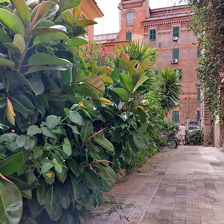 Ych-grazioso Bilocale Vicino Al Vaticano Apartament